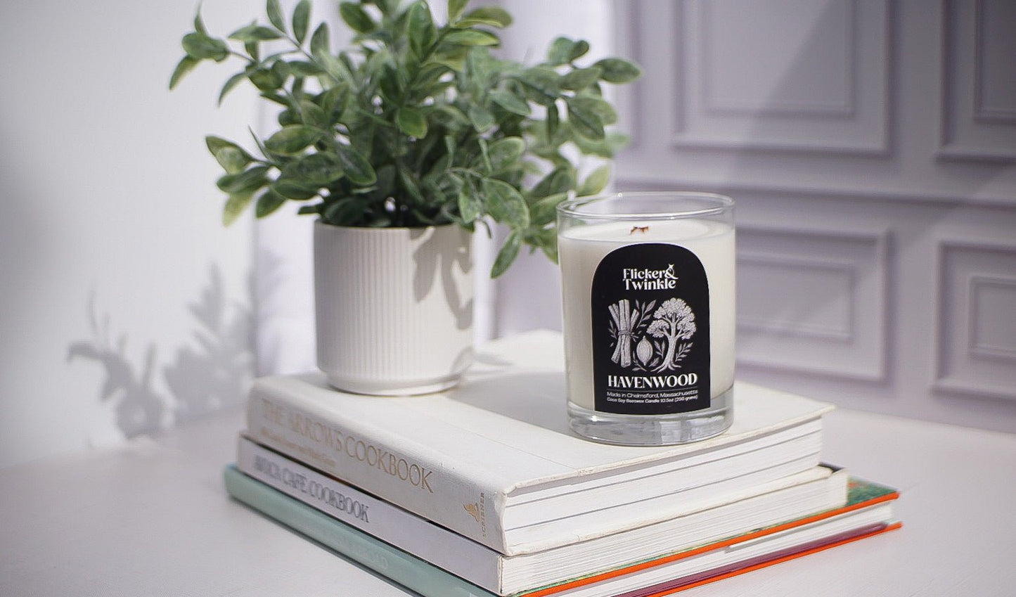 A potted plant and a Havenwood Candle - Coconut Soy Beeswax sit atop books on a white surface.