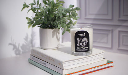 A potted plant and a Havenwood Candle - Coconut Soy Beeswax sit atop books on a white surface.