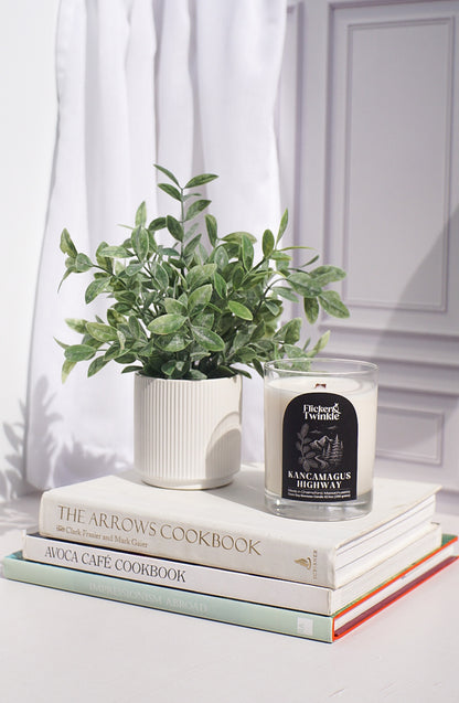 A potted plant and the Kancamagus Highway Candle atop cookbooks by a sunlit white curtain.