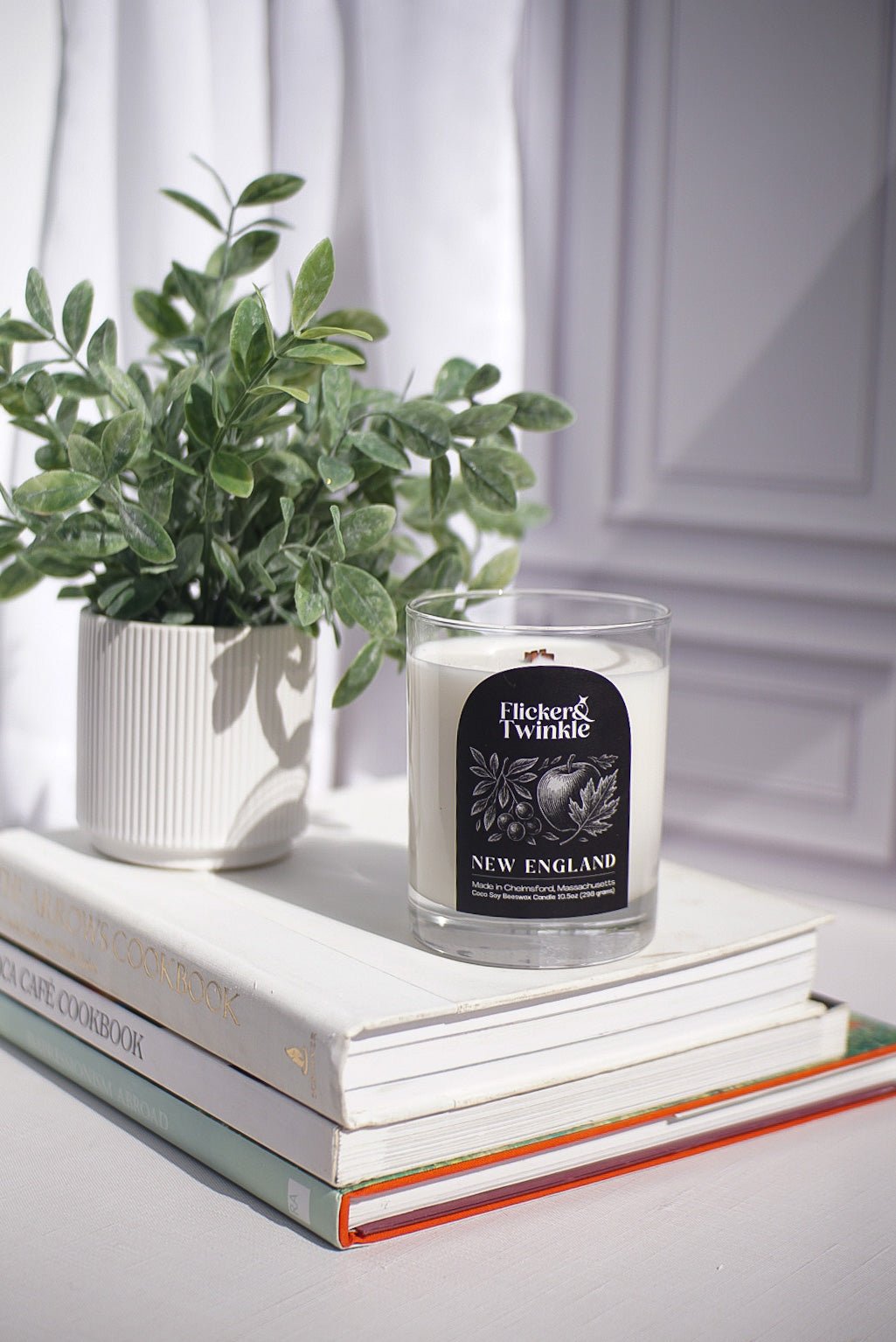 A potted plant and a New England Coconut Wax Candle rest on three books near a window.