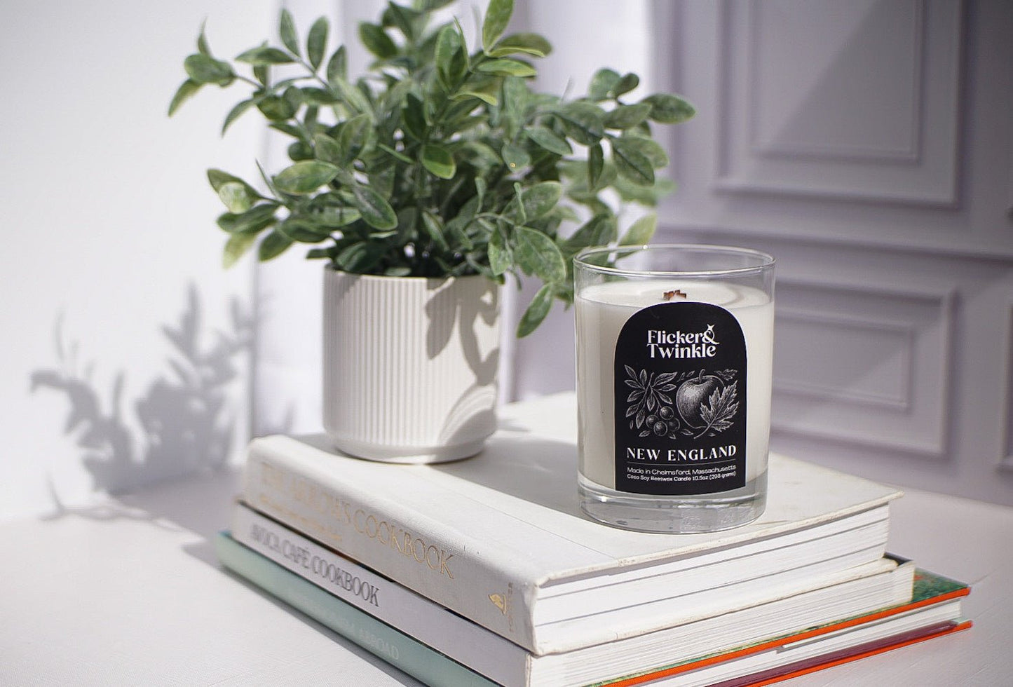 A potted plant and a New England Coconut Wax Candle rest on books in natural sunlight.