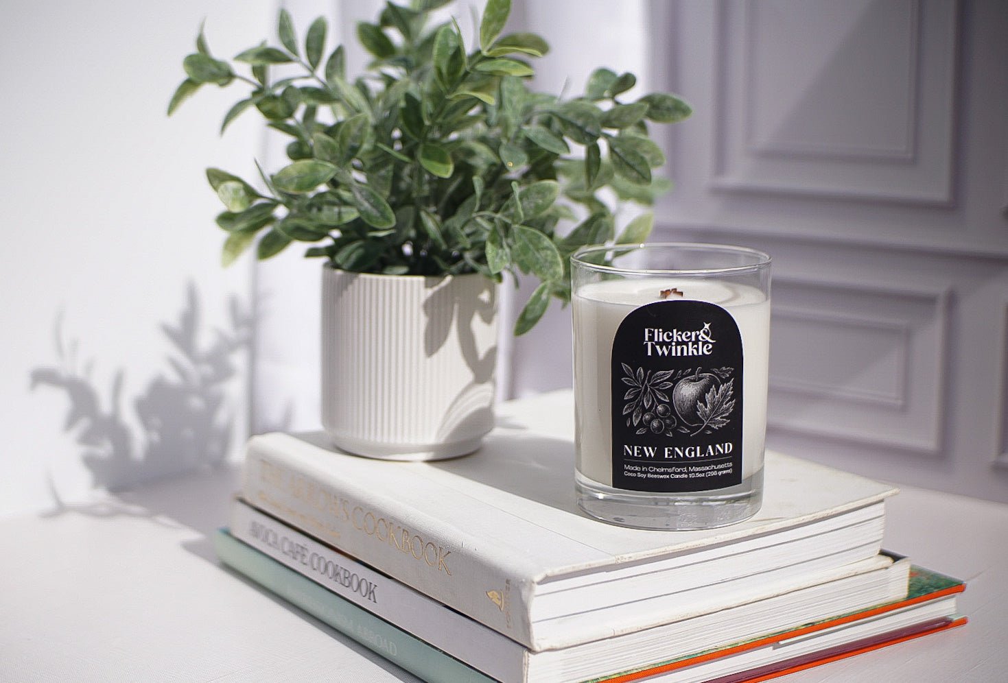 A potted plant and a New England Coconut Wax Candle rest on books in natural sunlight.
