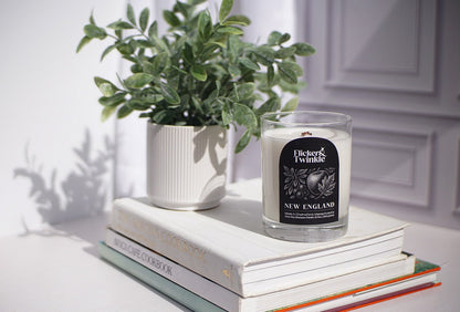 A potted plant and a New England Coconut Wax Candle rest on books in natural sunlight.