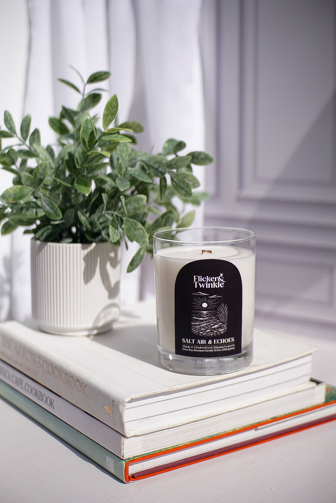 A Salt Air & Echoes Candle and potted plant sit atop cookbooks in the sunlight.