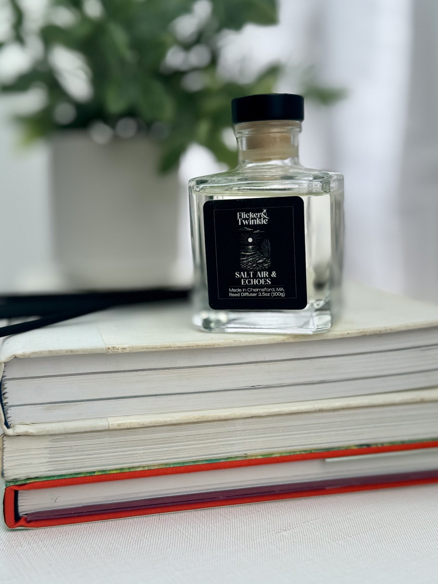 A luxury Salt Air & Echoes Reed Diffuser sits on a stack of closed books.