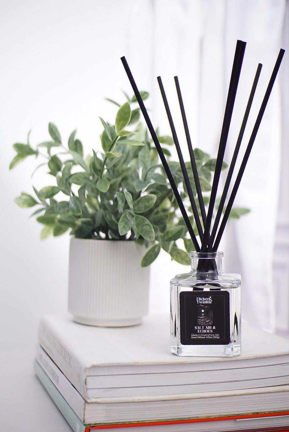 A potted plant and the Salt Air & Echoes Reed Diffuser sit atop a stack of books.