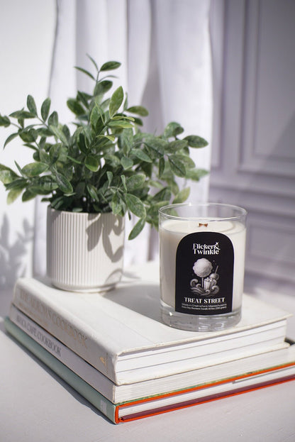 A potted plant and the Treat Street Candle sit atop three books in natural light.