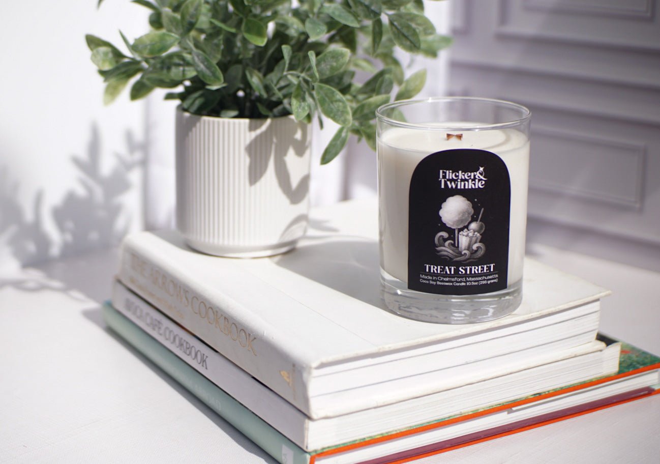 A potted plant and a Treat Street Candle - Coconut Soy Beeswax sit atop books by a sunlit wall.
