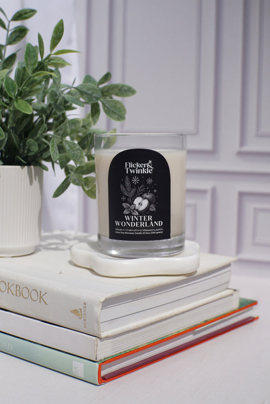 Candle labeled 'Winter Wonderland' on a stack of books with a plant in the background