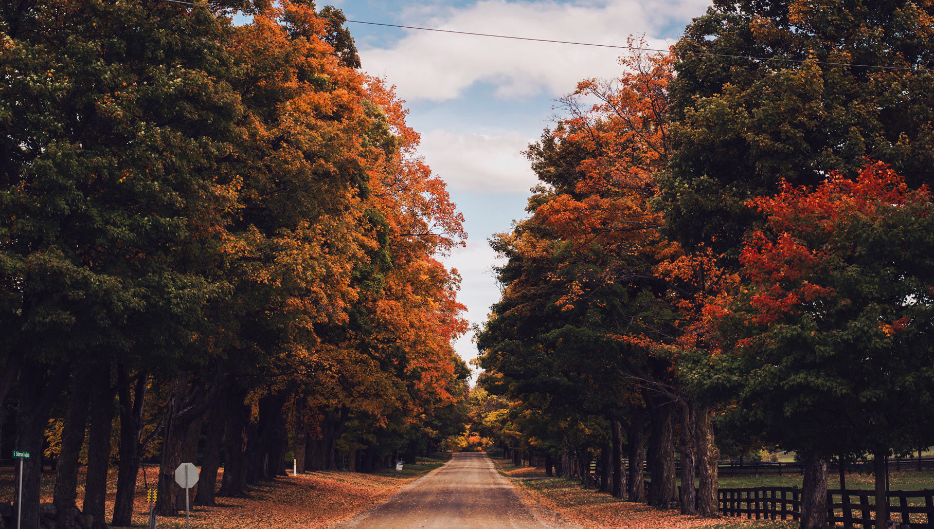 Tree-lined dirt road surrounded by autumn foliage under a partly cloudy sky.